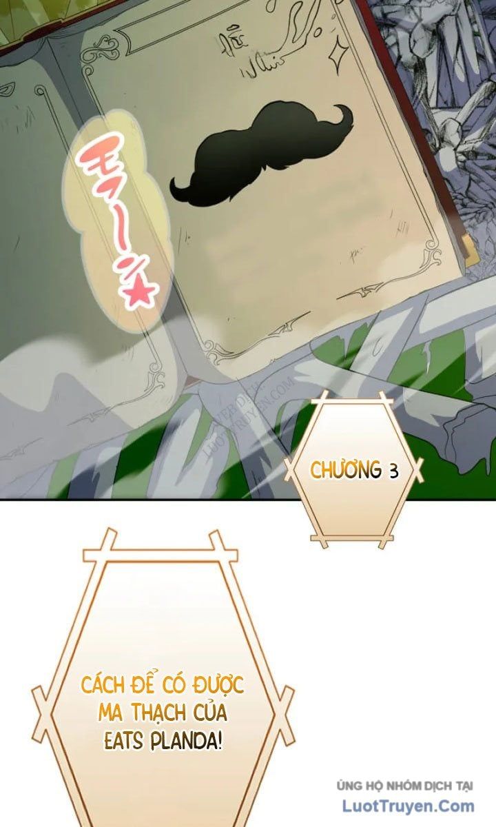 Đại Hiền Giả Sở Hữu Trăm Ma Thạch Chapter 8 - 38