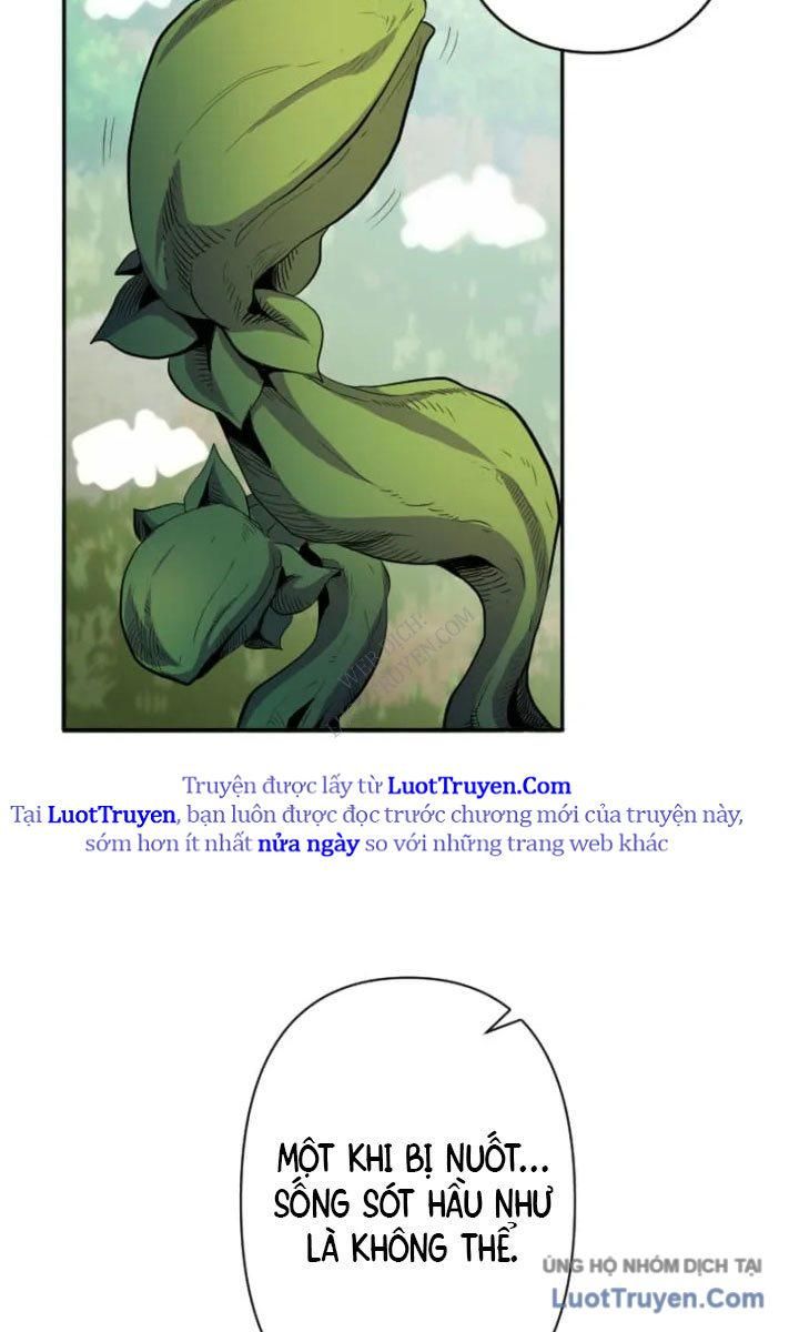 Đại Hiền Giả Sở Hữu Trăm Ma Thạch Chapter 8 - 5