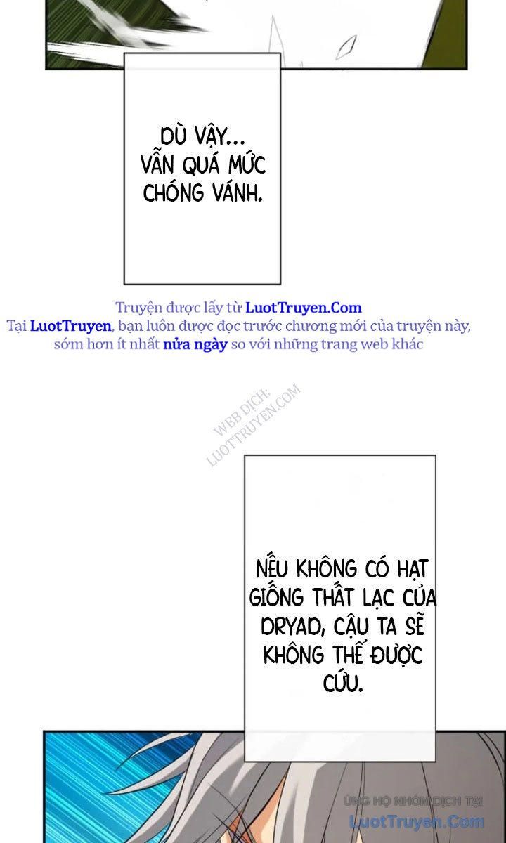 Đại Hiền Giả Sở Hữu Trăm Ma Thạch Chapter 8 - 43