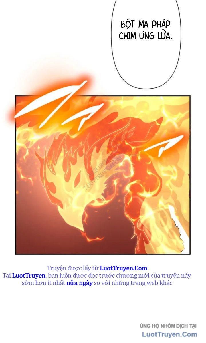 Đại Hiền Giả Sở Hữu Trăm Ma Thạch Chapter 8 - 51