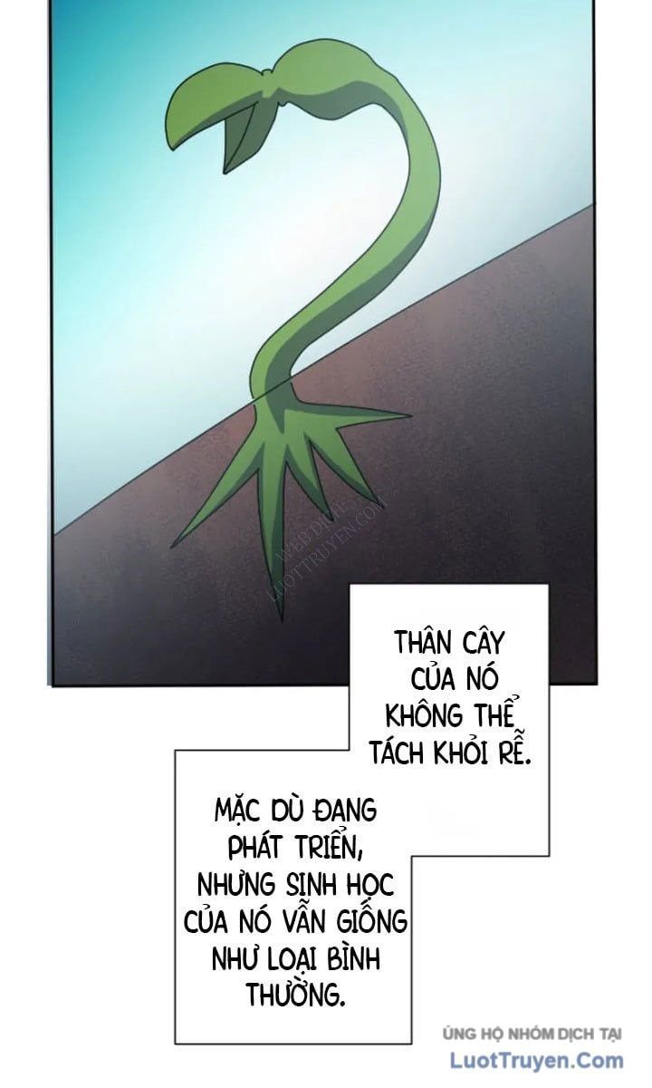 Đại Hiền Giả Sở Hữu Trăm Ma Thạch Chapter 8 - 75