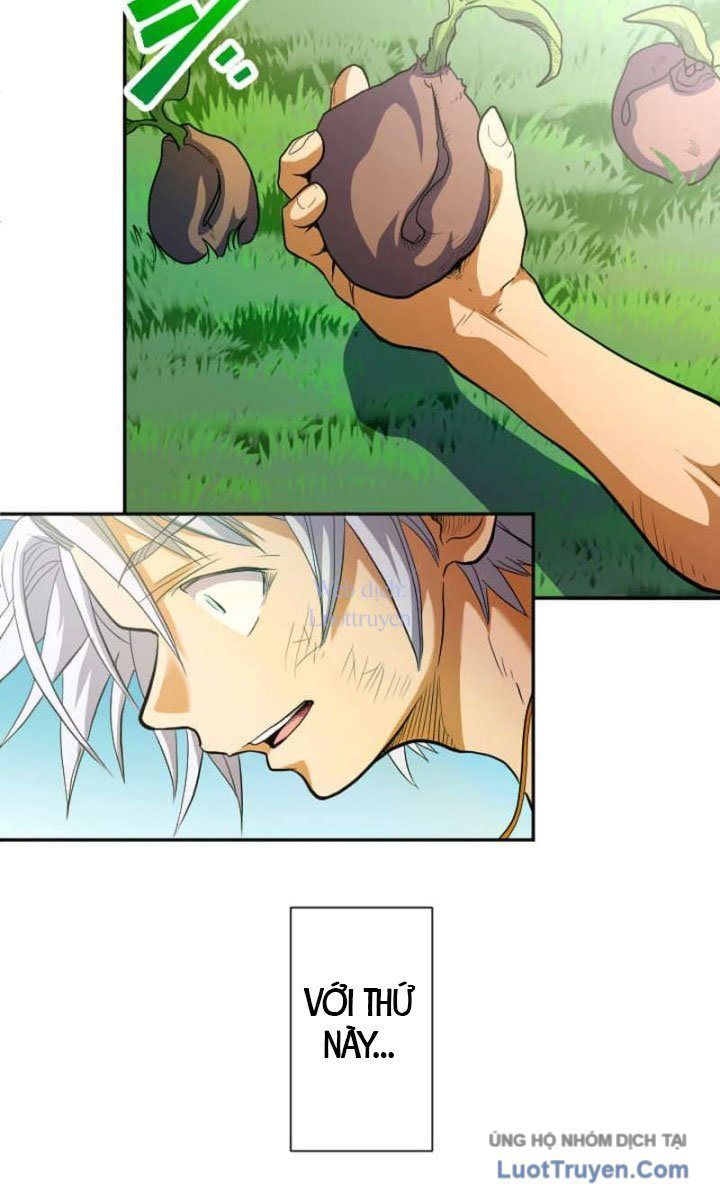 Đại Hiền Giả Sở Hữu Trăm Ma Thạch Chapter 9 - 8