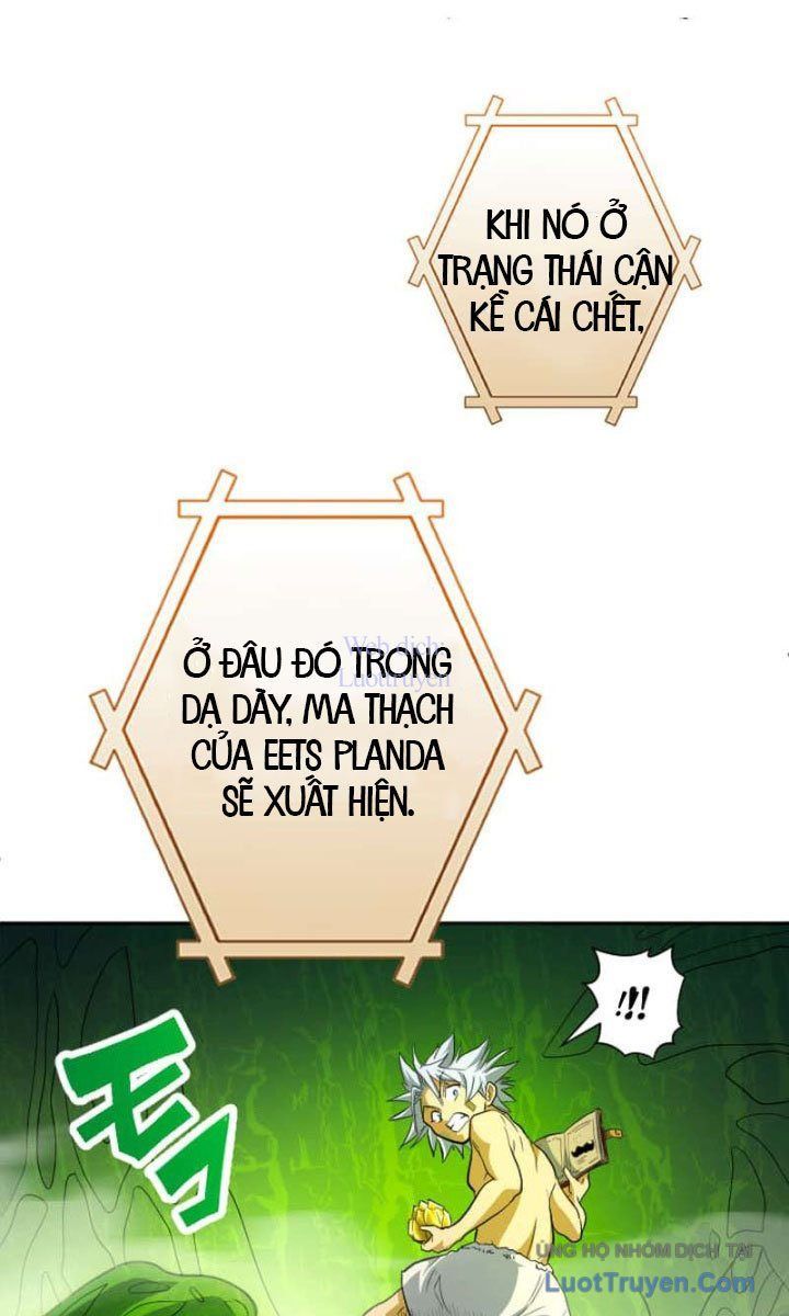 Đại Hiền Giả Sở Hữu Trăm Ma Thạch Chapter 9 - 73