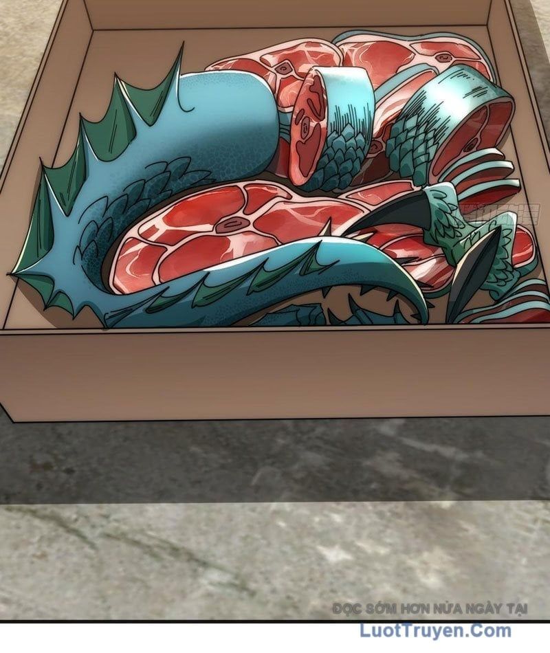 Tiến Hóa Vô Hạn Bắt Đầu Từ Con Số Không Chapter 26 - 82