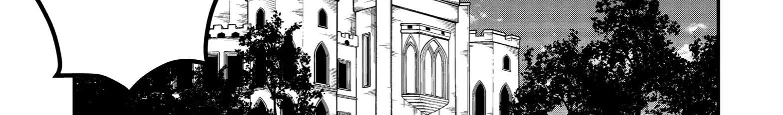 Pháp Sư Mạnh Nhất Dùng Sách Chiến Lược, Tự Mình Tiêu Diệt Ma Vương Chapter 52 - 10