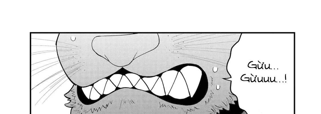 Pháp Sư Mạnh Nhất Dùng Sách Chiến Lược, Tự Mình Tiêu Diệt Ma Vương Chapter 64 - 79