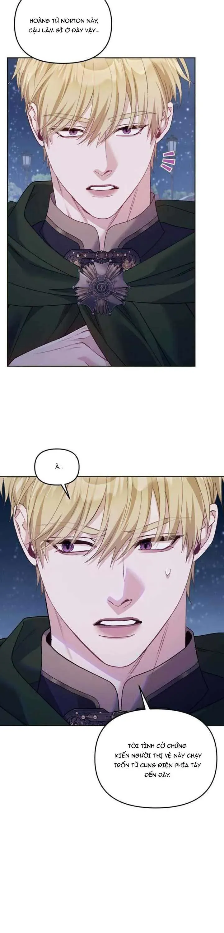 Tuy Là Hoàng Hậu Thay Thế Nhưng Tôi Lại Đánh Mất Đêm Đầu Tiên Chapter 36 - 11