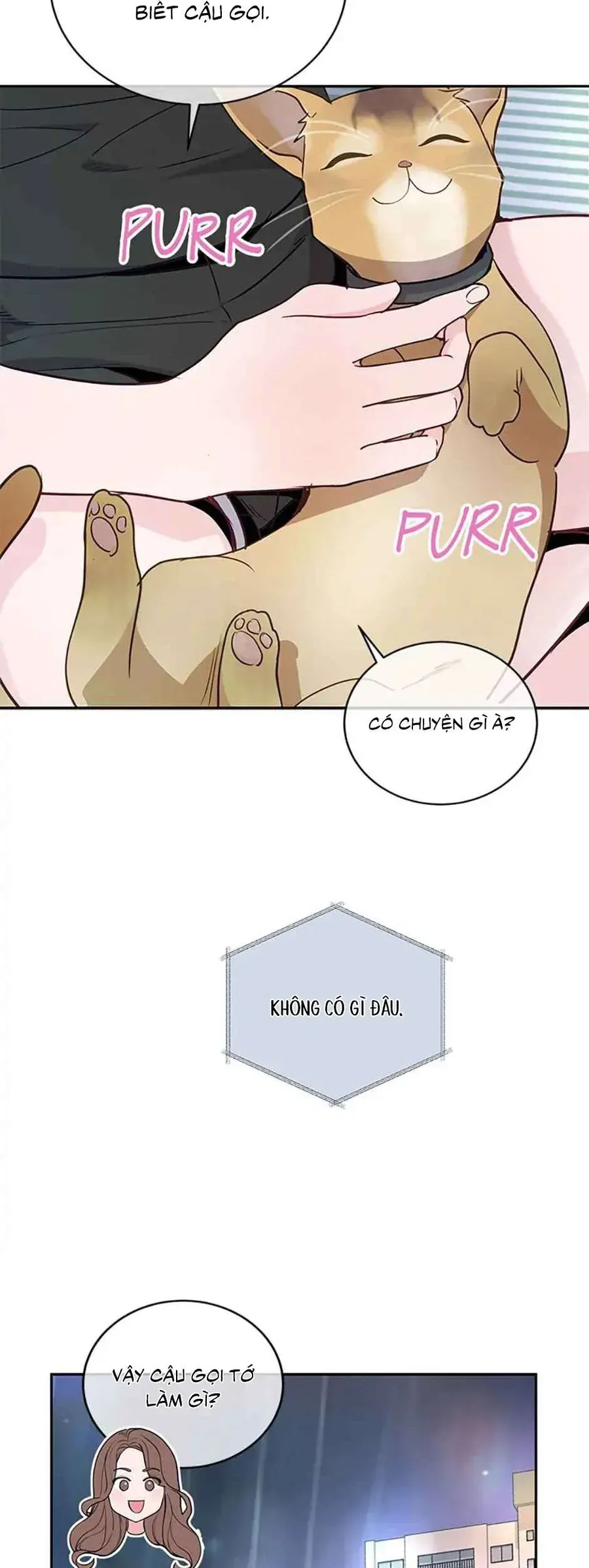 Lời Tỏ Tình Đáng Ngờ Chapter 17 - 20