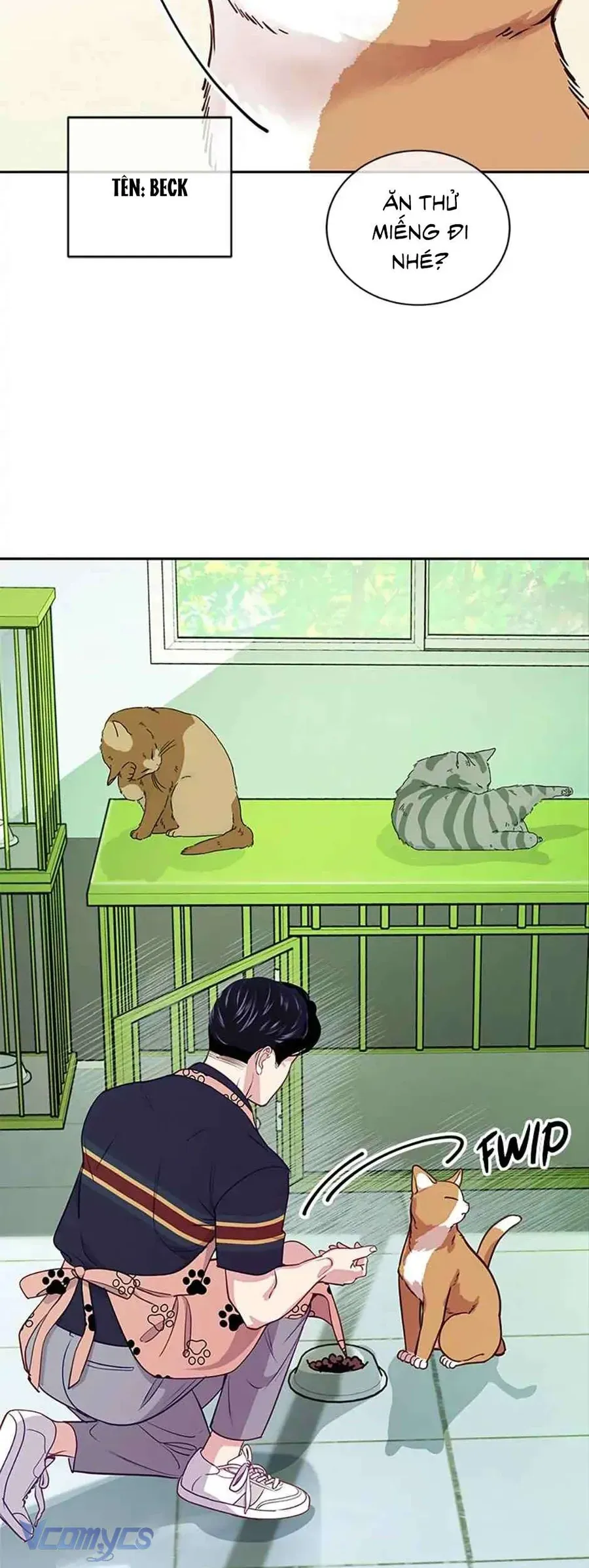 Lời Tỏ Tình Đáng Ngờ Chapter 19 - 43