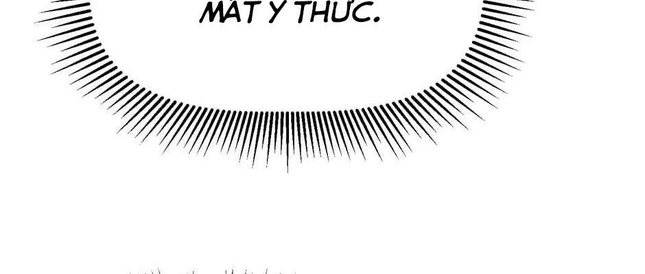 Câu Chuyện Sinh Tồn Của Kiếm Vương Ở Thế Giới Khác Chapter 17 - 364