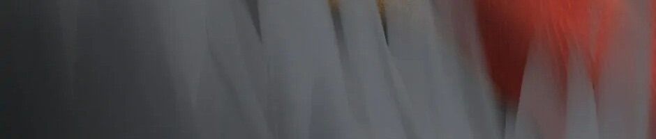 Câu Chuyện Sinh Tồn Của Kiếm Vương Ở Thế Giới Khác Chapter 17 - 530