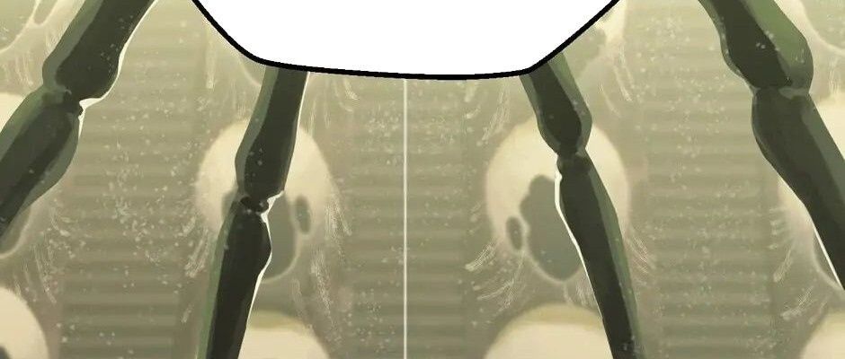 Câu Chuyện Sinh Tồn Của Kiếm Vương Ở Thế Giới Khác Chapter 28 - 302