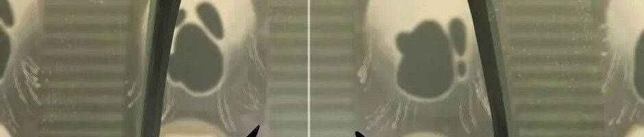 Câu Chuyện Sinh Tồn Của Kiếm Vương Ở Thế Giới Khác Chapter 28 - 303