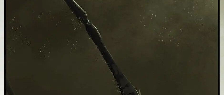 Câu Chuyện Sinh Tồn Của Kiếm Vương Ở Thế Giới Khác Chapter 28 - 461