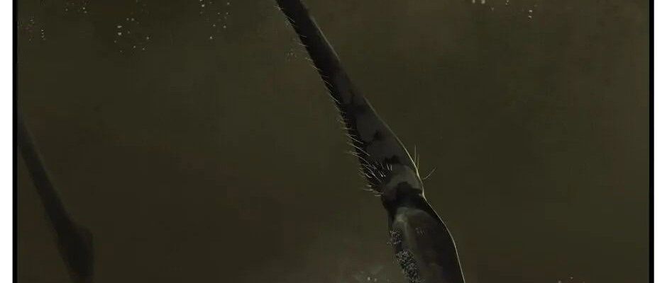 Câu Chuyện Sinh Tồn Của Kiếm Vương Ở Thế Giới Khác Chapter 29 - 20