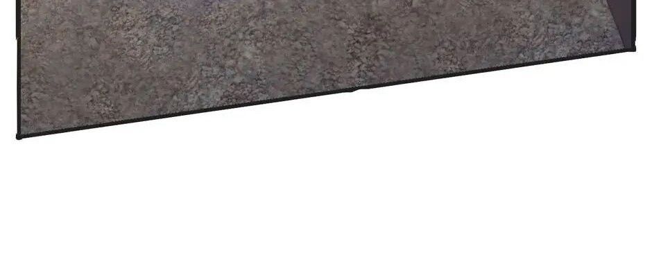 Câu Chuyện Sinh Tồn Của Kiếm Vương Ở Thế Giới Khác Chapter 38 - 312