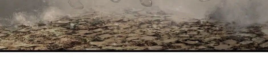 Câu Chuyện Sinh Tồn Của Kiếm Vương Ở Thế Giới Khác Chapter 39 - 73