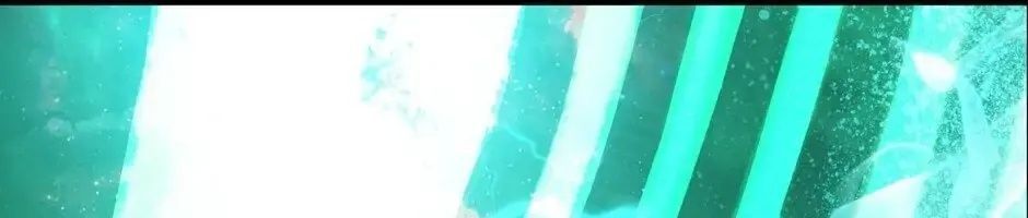 Câu Chuyện Sinh Tồn Của Kiếm Vương Ở Thế Giới Khác Chapter 42 - 562