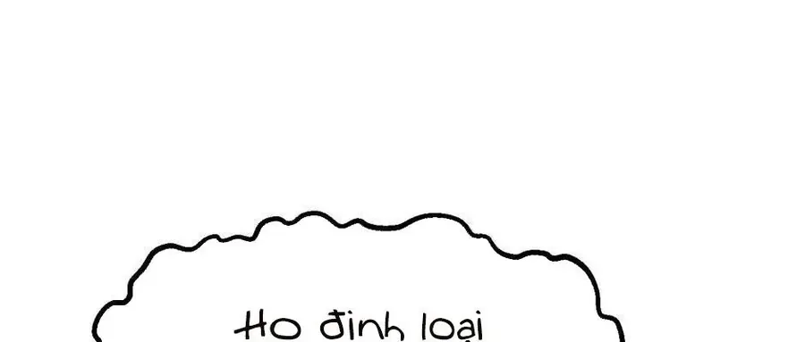 Câu Chuyện Sinh Tồn Của Kiếm Vương Ở Thế Giới Khác Chapter 47 - 340