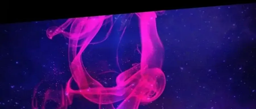 Câu Chuyện Sinh Tồn Của Kiếm Vương Ở Thế Giới Khác Chapter 50 - 164