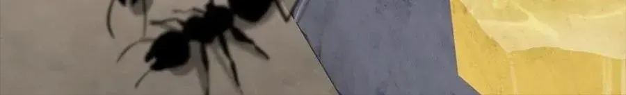 Câu Chuyện Sinh Tồn Của Kiếm Vương Ở Thế Giới Khác Chapter 55 - 355