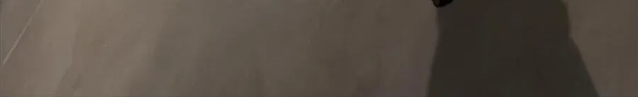 Câu Chuyện Sinh Tồn Của Kiếm Vương Ở Thế Giới Khác Chapter 55 - 373