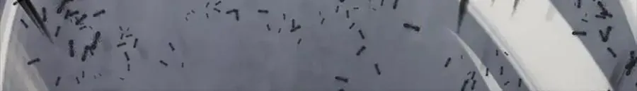 Câu Chuyện Sinh Tồn Của Kiếm Vương Ở Thế Giới Khác Chapter 55 - 607