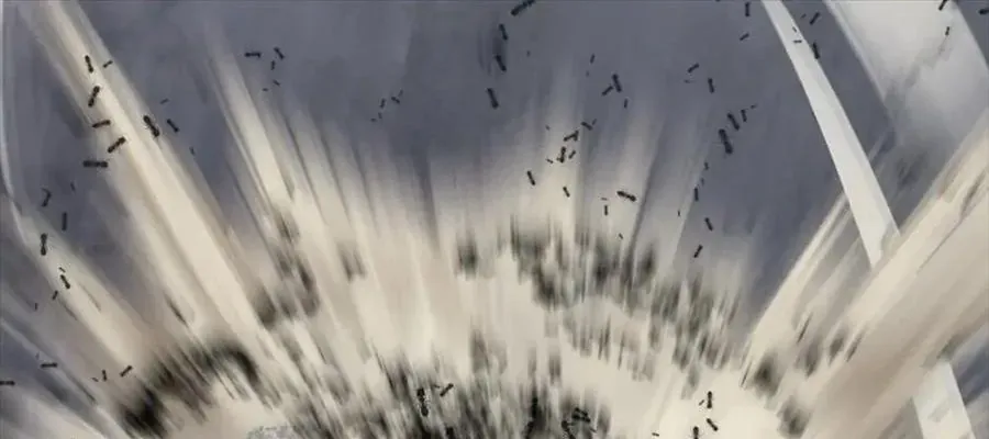 Câu Chuyện Sinh Tồn Của Kiếm Vương Ở Thế Giới Khác Chapter 55 - 608