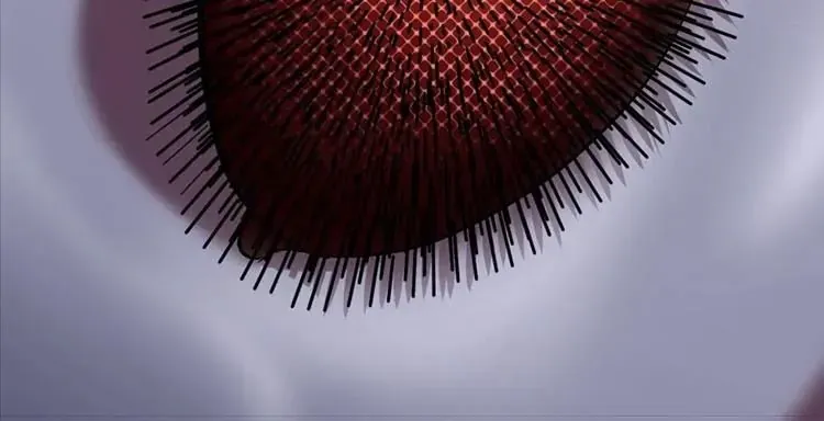 Câu Chuyện Sinh Tồn Của Kiếm Vương Ở Thế Giới Khác Chapter 56 - 404