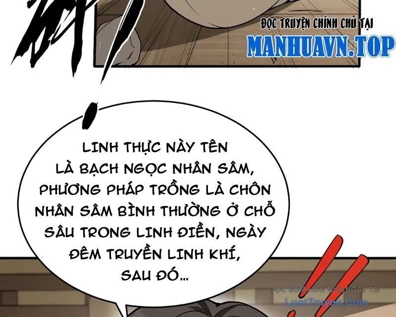 Người Khác Luyện Cấp Ta Tu Tiên, Tới Đại Thừa Kỳ Thì Rời Núi Chapter 11 - 102