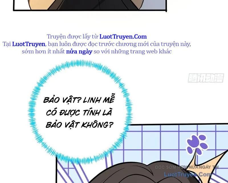 Người Khác Luyện Cấp Ta Tu Tiên, Tới Đại Thừa Kỳ Thì Rời Núi Chapter 11 - 152