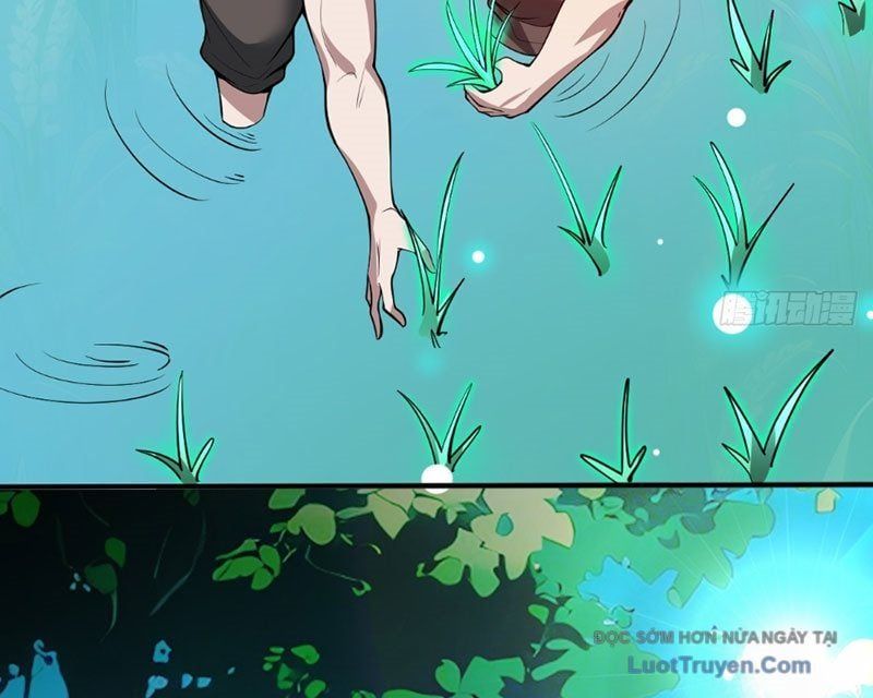 Người Khác Luyện Cấp Ta Tu Tiên, Tới Đại Thừa Kỳ Thì Rời Núi Chapter 14 - 56