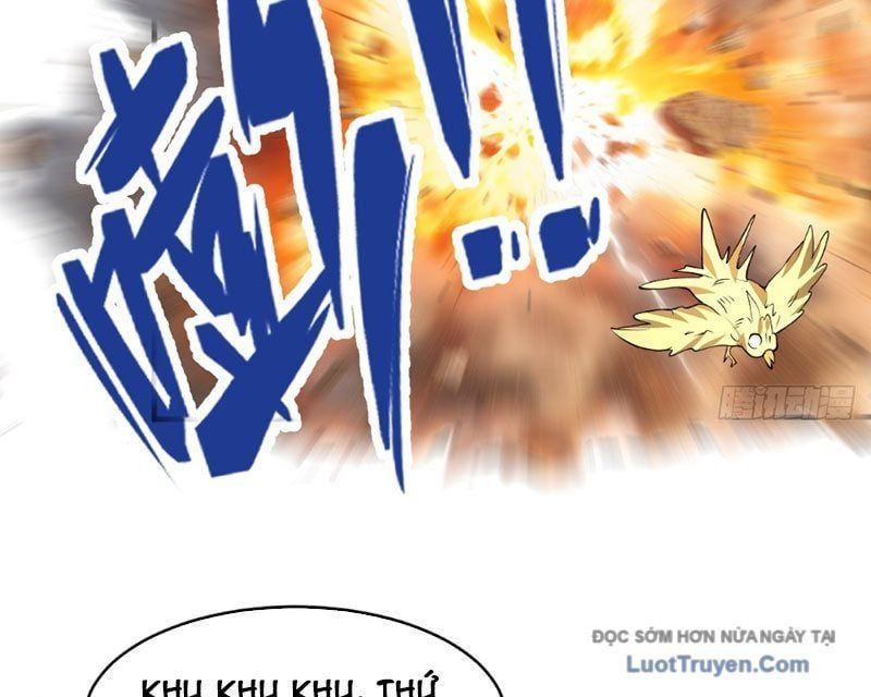 Người Khác Luyện Cấp Ta Tu Tiên, Tới Đại Thừa Kỳ Thì Rời Núi Chapter 14 - 63