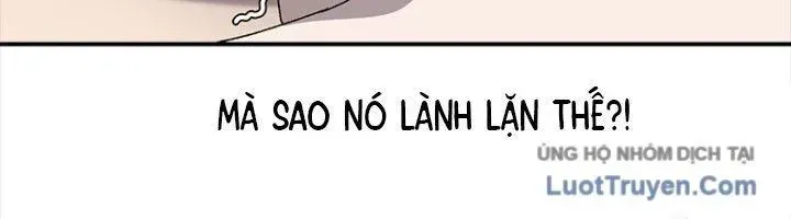 Một Mảnh Thời Gian Chapter 8 - 245