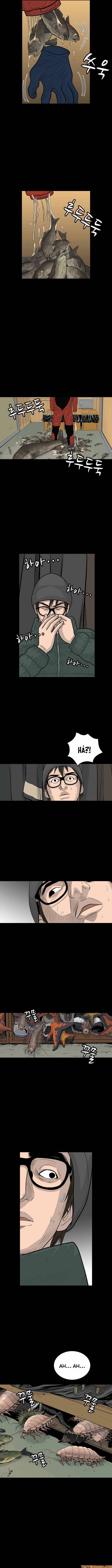 Cá Con (Vảy Cá) Chapter 5 - 5