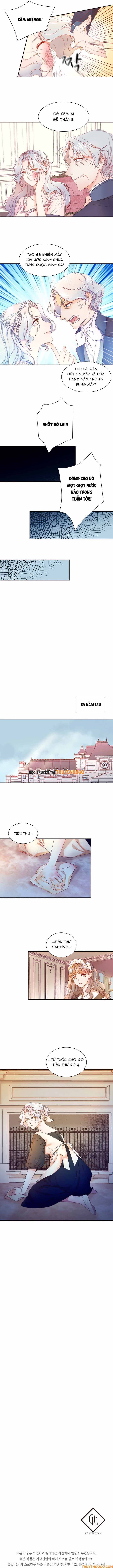 Tôi Đã Sinh Con Cho Kẻ Sát Nhân Chapter 2 - 7