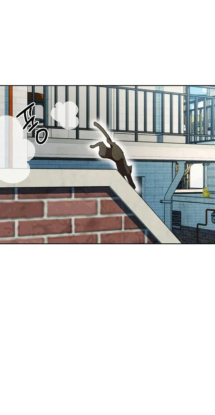 Thập Chi Nhị Thiếu Nữ Chapter 5 - 89