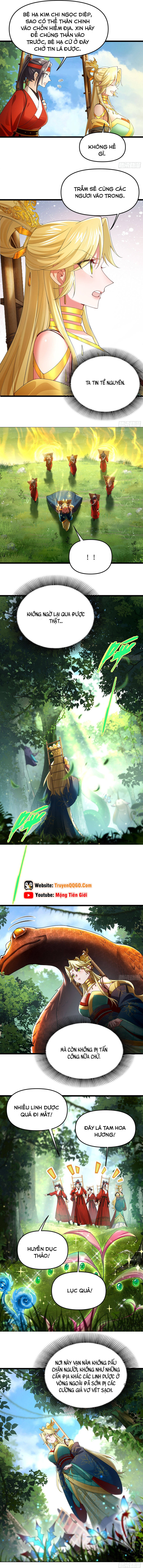 Kim Đan Là Hằng Tinh, Ngươi Gọi Đây Là Tu Tiên À? Chapter 8 - 4