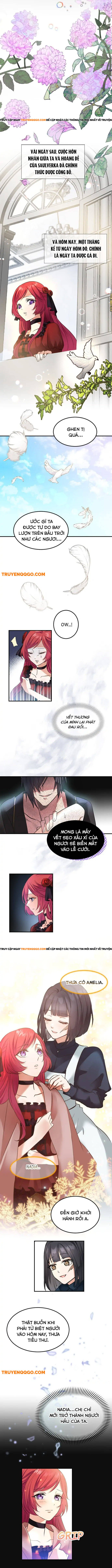 Vũ Khí Báo Thù, Giọt Lệ Tẩm Độc Chapter 2 - 8