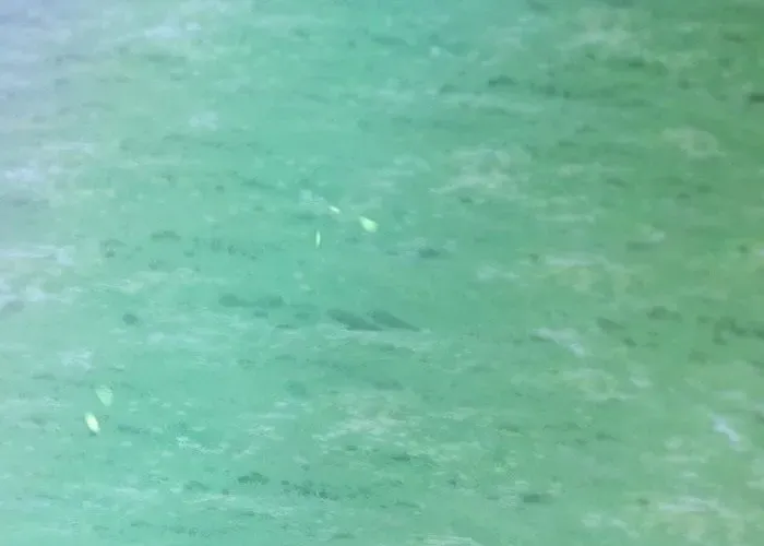 Cánh Tay Tà Ác Chapter 1 - 324