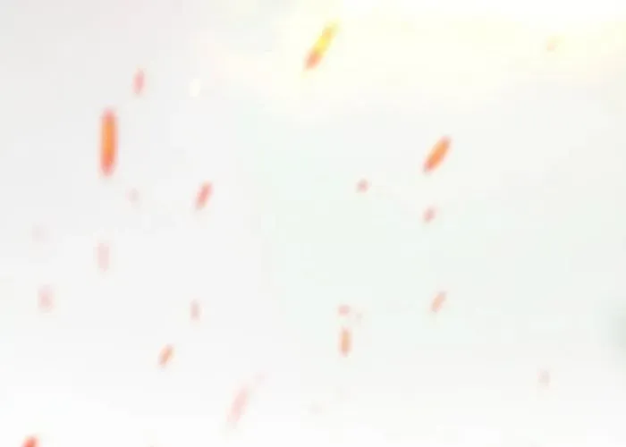 Cánh Tay Tà Ác Chapter 3 - 165