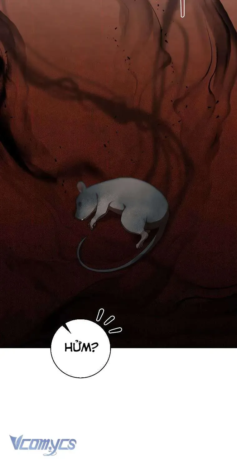 100 Lời Nguyền Tại Dinh Thự Illestone Chapter 15 - 27