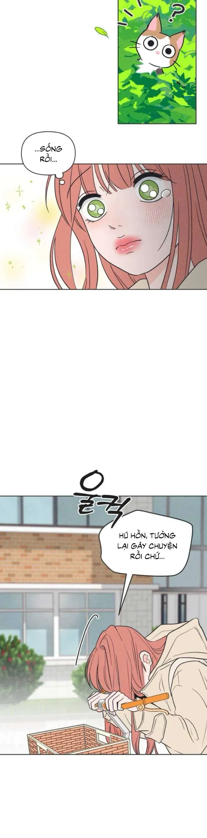 Phá Hỏng Mối Tình Đơn Phương Chapter 2 - 27