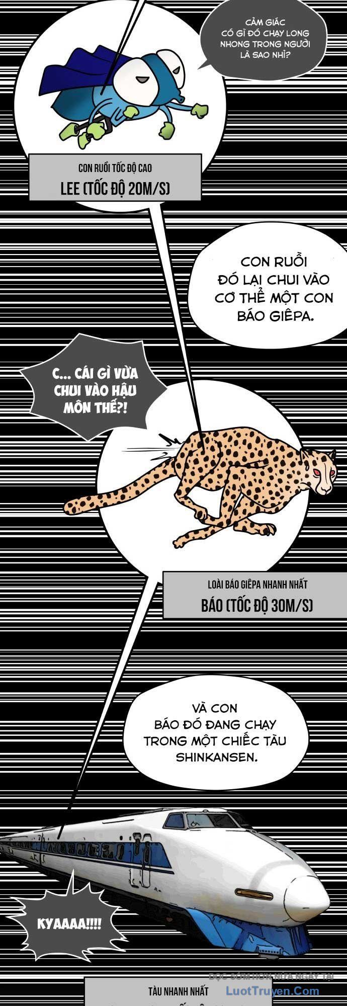 Thiếu Nữ Vượt Thời Gian Chapter 4 - 15