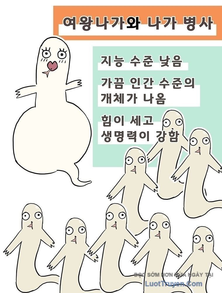 Bất Diệt Đấu Quỷ Rasua Chapter 4 - 130