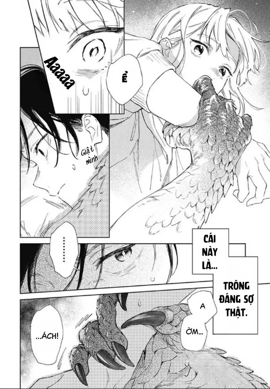 Nơi Gió Biển Ru Giấc Rồng Thiêng. Chapter 1 - 28