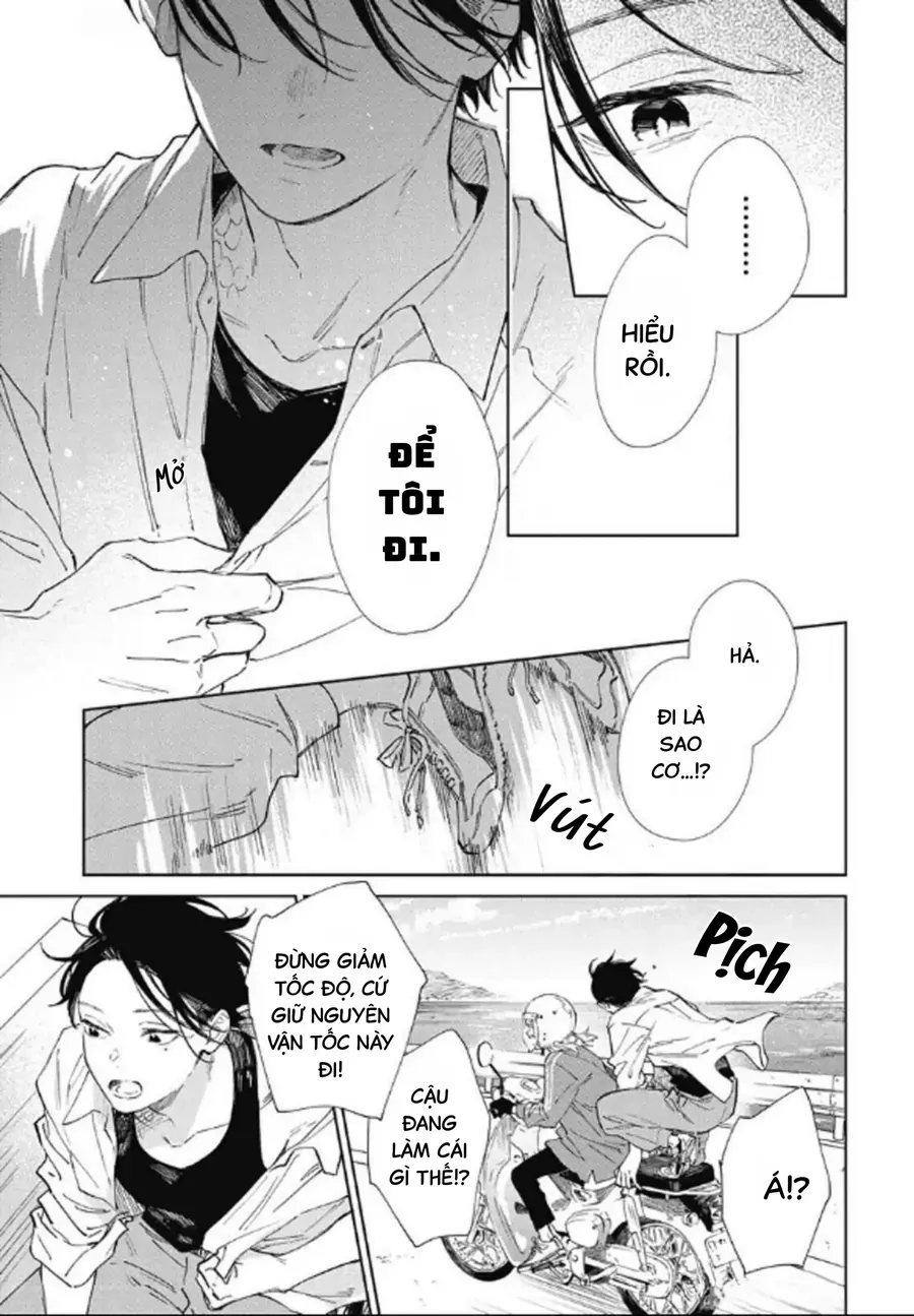 Nơi Gió Biển Ru Giấc Rồng Thiêng. Chapter 1 - 41