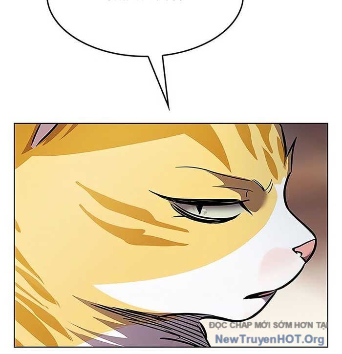 Hoá Thân Thành Mèo Chapter 375 - 31