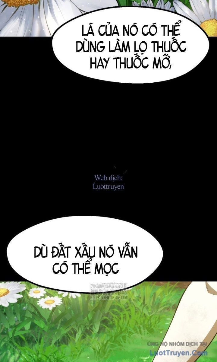 Anh Hùng Mạnh Nhất? Ta Không Làm Lâu Rồi! Chapter 266 - 32