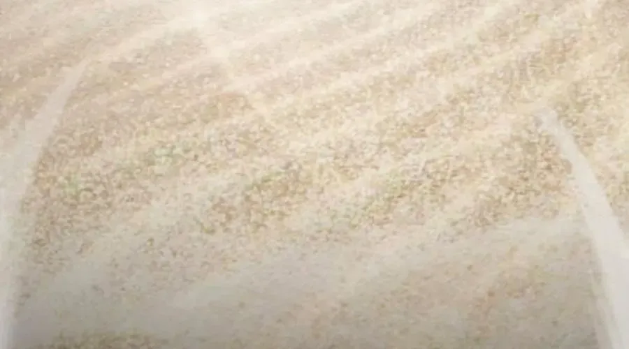 Cậu Bé Của Thần Chết Chapter 301 - 82